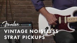 Vintage Noiseless Pickups  Fender [upl. by Paulo]