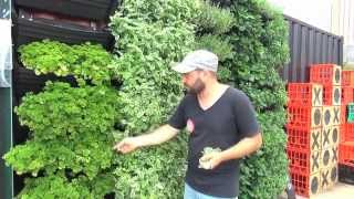 Wall Garden  Vertical Garden Installation amp Operation [upl. by Laban]