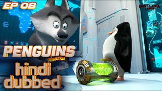 Penguin of Madagascar 2014 Explained In Hindi  explanation hindi [upl. by Chemarin]