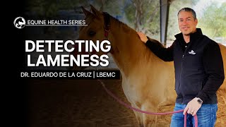 Detecting Lameness in Your Horse [upl. by Maximilien]