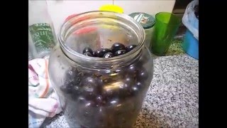 Cómo hacer aceitunas caseras negras 1 [upl. by Krongold]