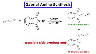 Gabriel Amine Synthesis [upl. by Cirdor]