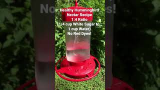 Hummingbird Nectar Recipe see description [upl. by Grishilda]