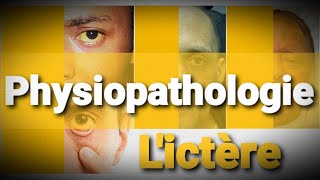 Physiopathologie  3ème cours  Lictère [upl. by Tasia871]