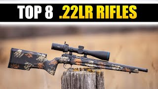 TOP 8 Best 22LR Rifles The Most Accurate 22 Rifles  Madman Review [upl. by Barrus]