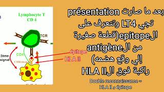 immunité réponse immunitaire adaptative  RIMH  BAC 2022 بالفلاقي [upl. by Tracie]