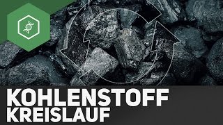 Kohlenstoffkreislauf – Stoffkreisläufe 3 [upl. by Odraccir153]