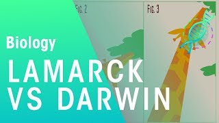 Theories of evolution Lamarck vs Darwin  Evolution  Biology  FuseSchool [upl. by Enehpets]