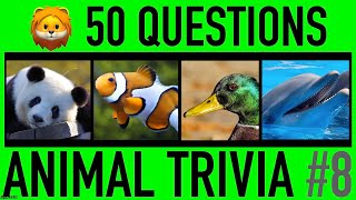 ANIMAL TRIVIA QUIZ 8  50 Animals Knowledge Trivia Questions and Answers  Animal Pub Quiz [upl. by Snave]