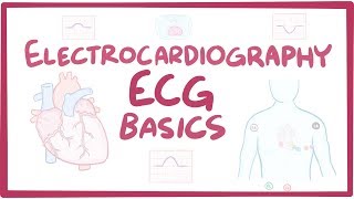 Electrocardiography ECGEKG  basics [upl. by Htidirem]