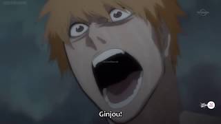 Ichigo vs Ginjo Return of the Shinigami EPISODE 361 [upl. by Kevon]