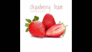 Strawberry team  Japanese Song [upl. by Bondy47]