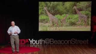 Saving animals saving the future  John Linehan  TEDxYouthBeaconStreet [upl. by Melc]