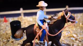 Barrel Racing at Silver Star Stables [upl. by Niltyak]