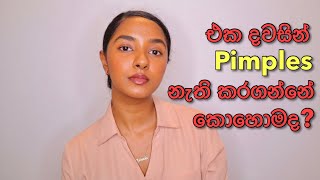 එක දවසින් Pimples නැති කරන්නේ කොහොමද  How To Remove Pimples Overnight  Home Remedies For Pimples [upl. by Iand327]