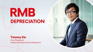 Renminbi RMB Depreciation [upl. by Deibel]