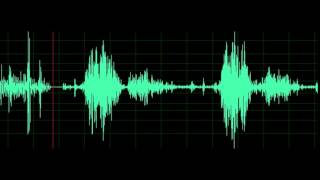 Normal Breath Sound [upl. by Gracye]