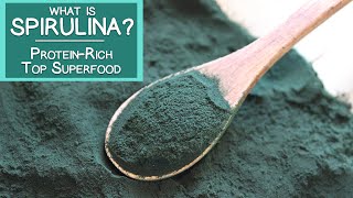 What is Spirulina A Proteinrich Top Superfood Algae [upl. by Longwood]