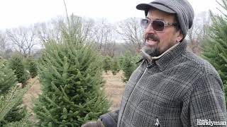 Tips for Cutting Down Your Own Christmas Tree [upl. by Novoj]