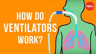 How do ventilators work  Alex Gendler [upl. by Alolomo120]