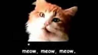 Official Meow Mix Commercial wLyrics [upl. by Romalda]