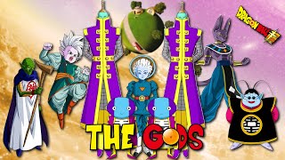 Dragon Ball GODS HIERARCHY Explained  History of Dragon Ball [upl. by Minardi14]