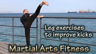 Leg exercises to improve kicks [upl. by Berghoff184]