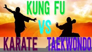 Martial Arts Kung Fu vs Taekwondo vs Karate [upl. by Ramona722]