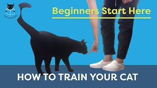 How To Train Your Cat Beginners Start Here [upl. by Rey]