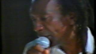 Thomas Mapfumo  Moyo Wangu 1994 [upl. by Sicular]