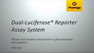 DualLuciferase® Reporter Assay System [upl. by Sholley]