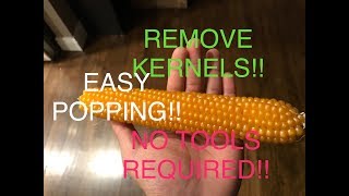 HOW TO Homegrown Popcorn Cob Kernel Removal EASY NO TOOLS REQUIRED [upl. by Riti]