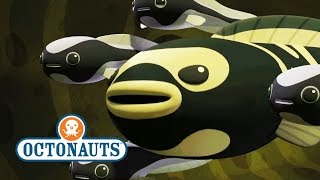 Octonauts Season 4 Exclusive Convict Fish [upl. by Kirt623]