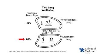 LearnVisible Body  Pulmonary Ventilation [upl. by Wernick]