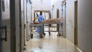 Searching for lost lives South Africas unidentified corpses  AFP [upl. by Enelrad]