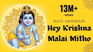 Hey krishna Malai Mitho Bamsi  Raju Adhikari srdbhakti Bhajan  Nepali Bhajan [upl. by Astrahan]