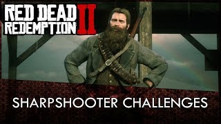 Red Dead Redemption 2 Sharpshooter Challenges Guide [upl. by Kitchen]