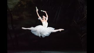 Giselle trailer The Royal Ballet [upl. by Madalyn632]