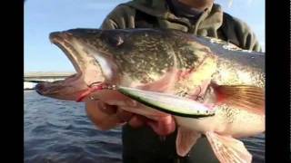 Introducing the Rapala® XRap® [upl. by Hamilton]