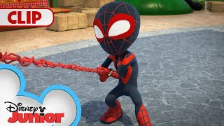 Tree Trouble 🌳  Marvels Spidey and his Amazing Friends  disneyjr [upl. by Engis]