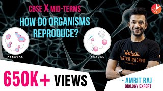 Super Easy Way to Learn How do Organisms Reproduce  1  CBSE Class 10 Science Chapter 8  Vedantu [upl. by Auhesoj]