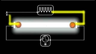 How a Fluorescent Light Works  Schematic Animation [upl. by Allicsirp789]