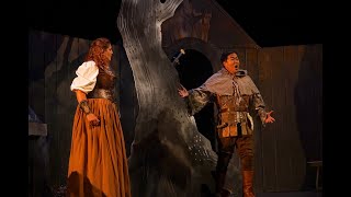 Richard Wagner Die Walküre Act 1 English Subtitles [upl. by Alleciram]