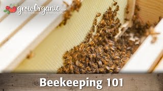 Beekeeping for Beginners  Hive Set Up [upl. by Trudey]