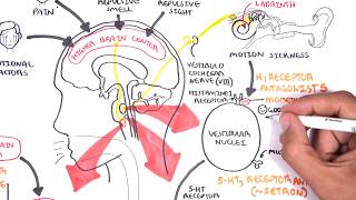 Pharmacology  Antiemetics [upl. by Eidnyl]