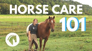 HOW TO CARE FOR A HORSE Complete Guide [upl. by Aierbma898]