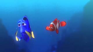 Dorys Reef Cam 2020 FULL MOVIE [upl. by Naashar]