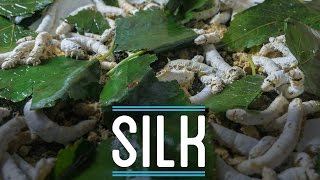 Silk from Scratch  How To Make Everything Suit 610 [upl. by Aimehs723]