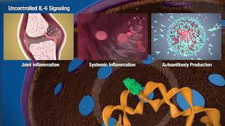 JAKSTAT Signaling Transduction Pathways [upl. by Aniretake]