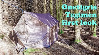 Onetigris Tegimen Unboxing amp First Look Review  Hot Tent for Hammock [upl. by Sirej]